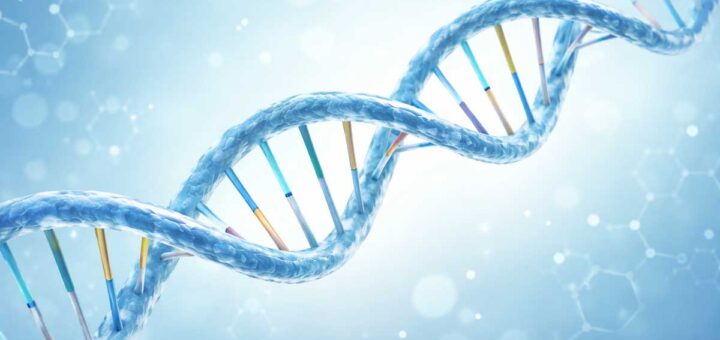 DNA-Doppelhelix mit blauen und bunten Nukleotiden auf einem hellen Hintergrund.