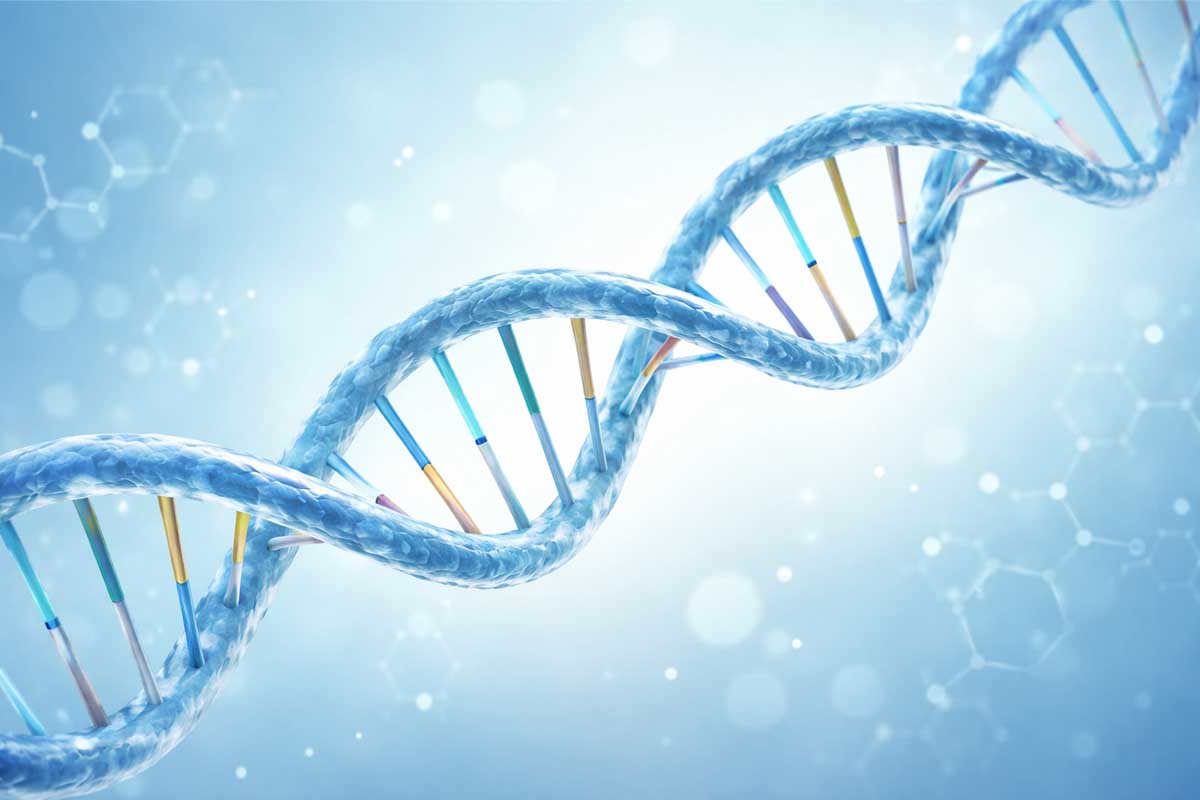 DNA-Doppelhelix mit blauen und bunten Nukleotiden auf einem hellen Hintergrund.